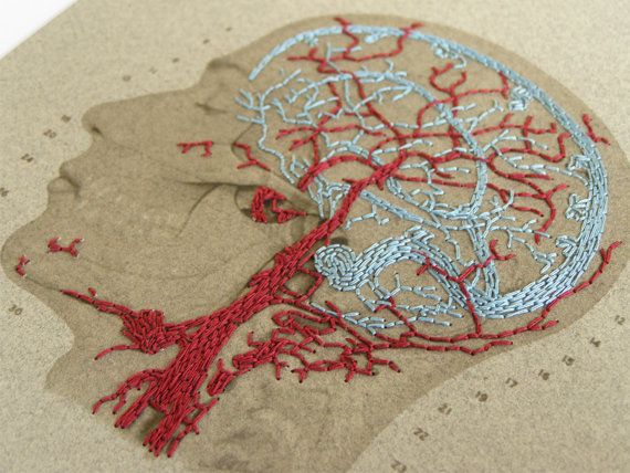 A picture of a brain and all nerves inside it