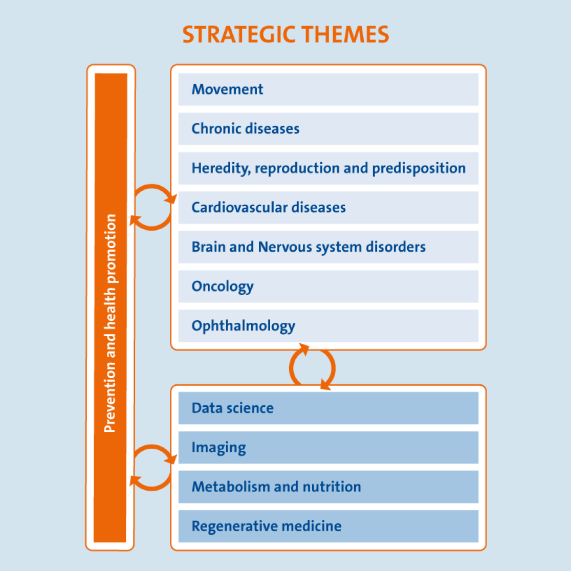 Strategic Themes