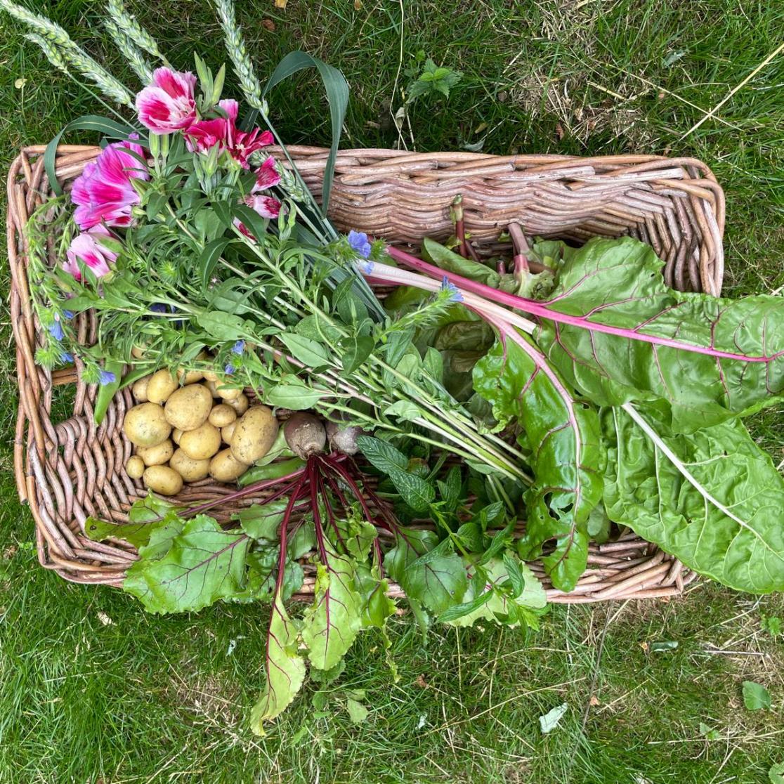 produce harvested in a food forest