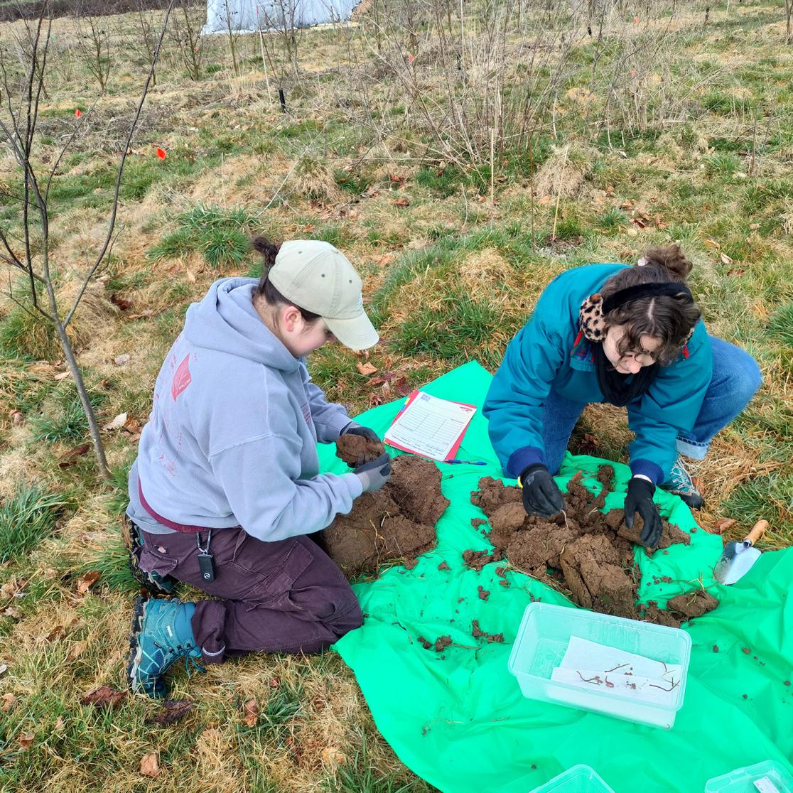 Students of Circular Engineering research worms in a food forest.