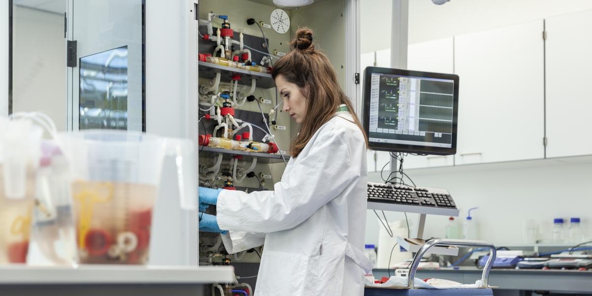 Student working in lab