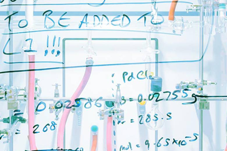 Maastricht Science Programme