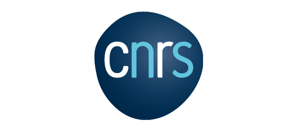 Logo Centre National De La Recherche Scientifique 
