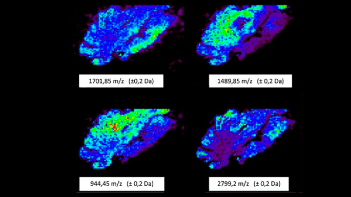 Ion-Mobility-Imaging