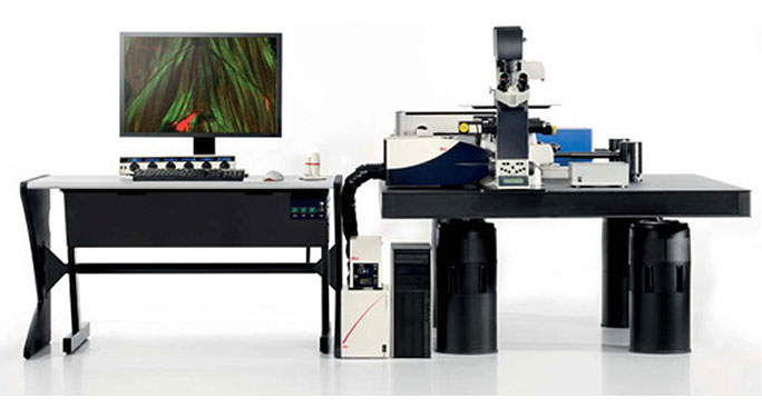 Leica-TCS-SP8-CARS-confocal-microscope