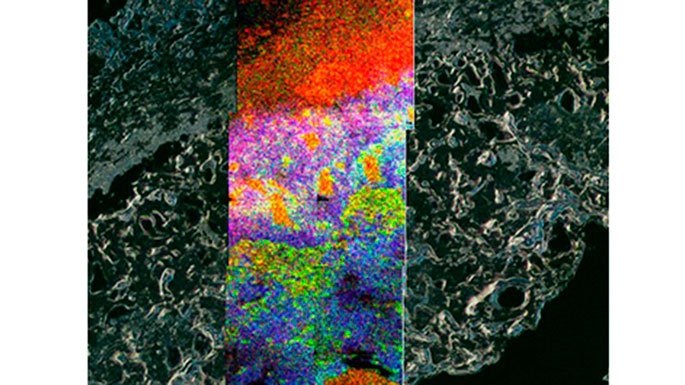 Molecules-at-the-interface-of-biology-and-polymers