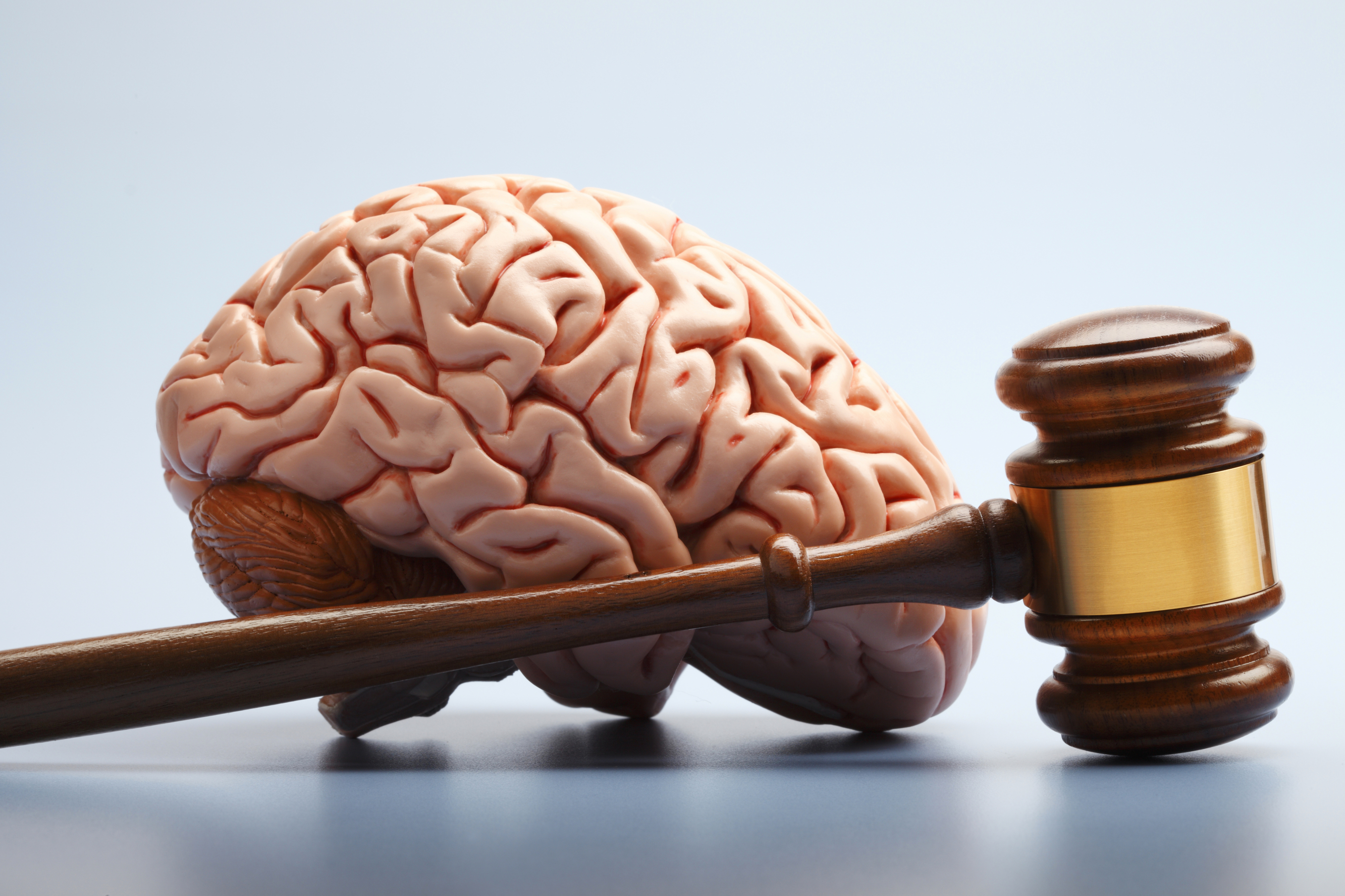 neurosciences in the courtroom