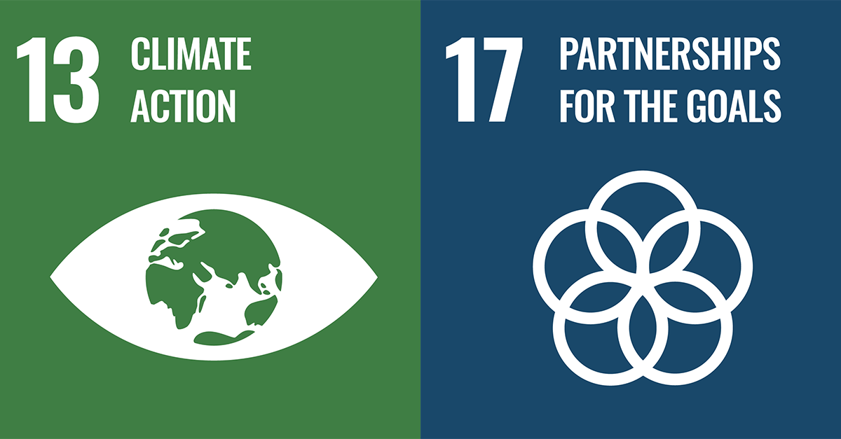 SDG 13-17