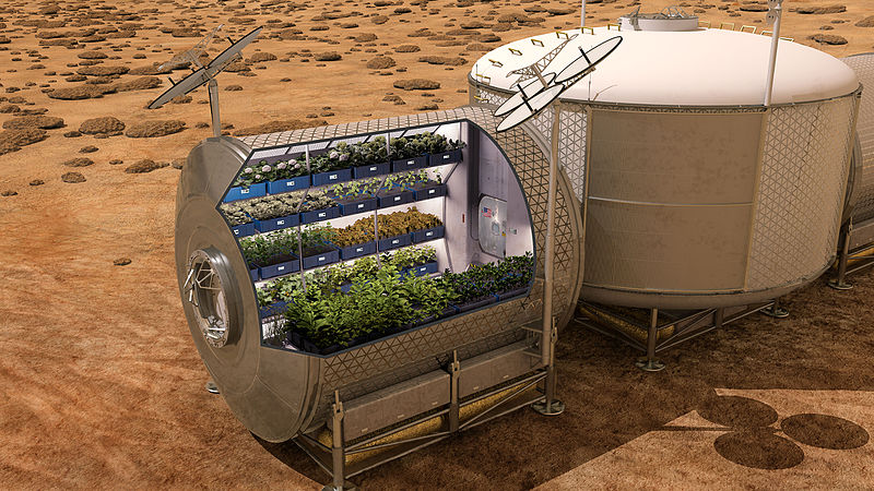Picture of a space garden, used for growing plants and vegetables in space