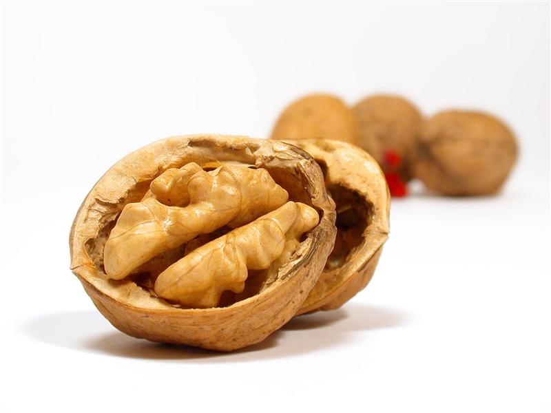 Picture of walnuts