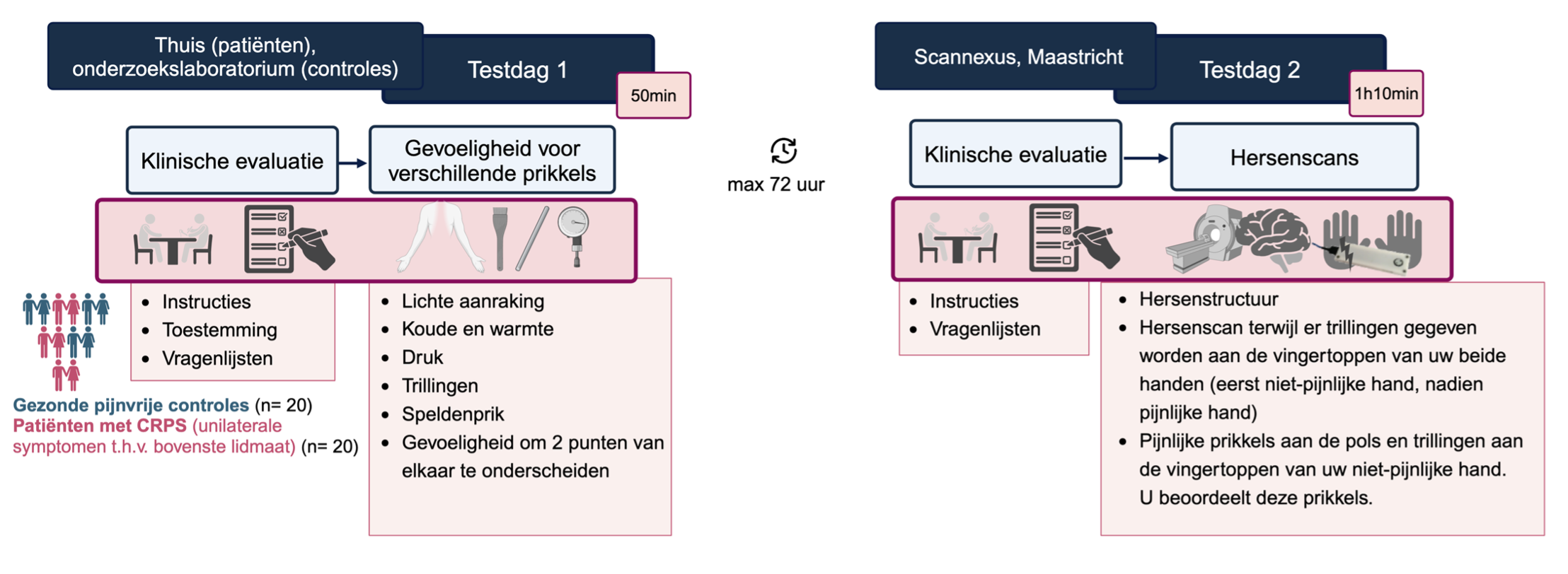 fpn onderzoek iris coppieters