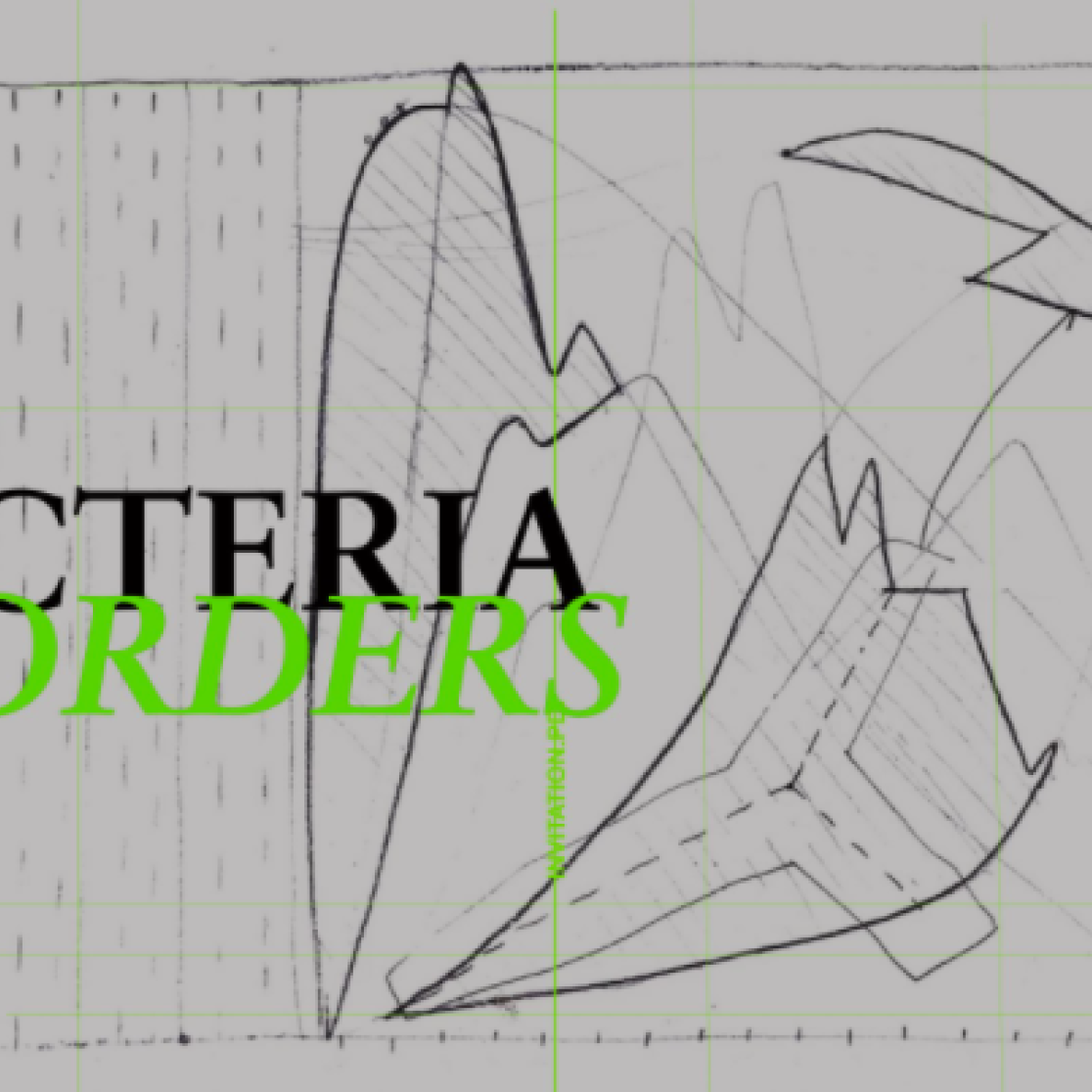 Bacteria and borders klein