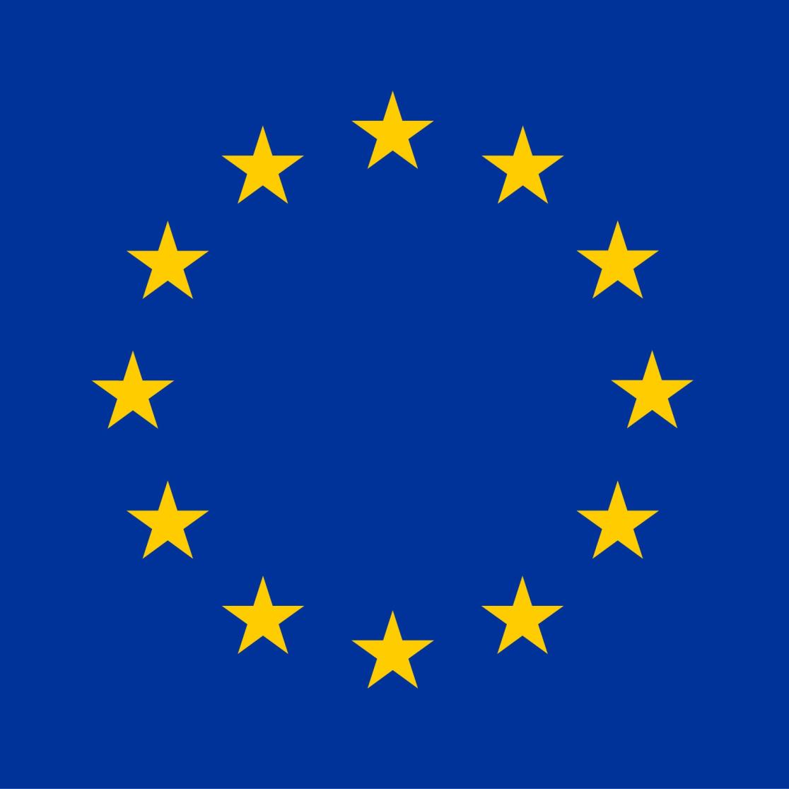 European Flag