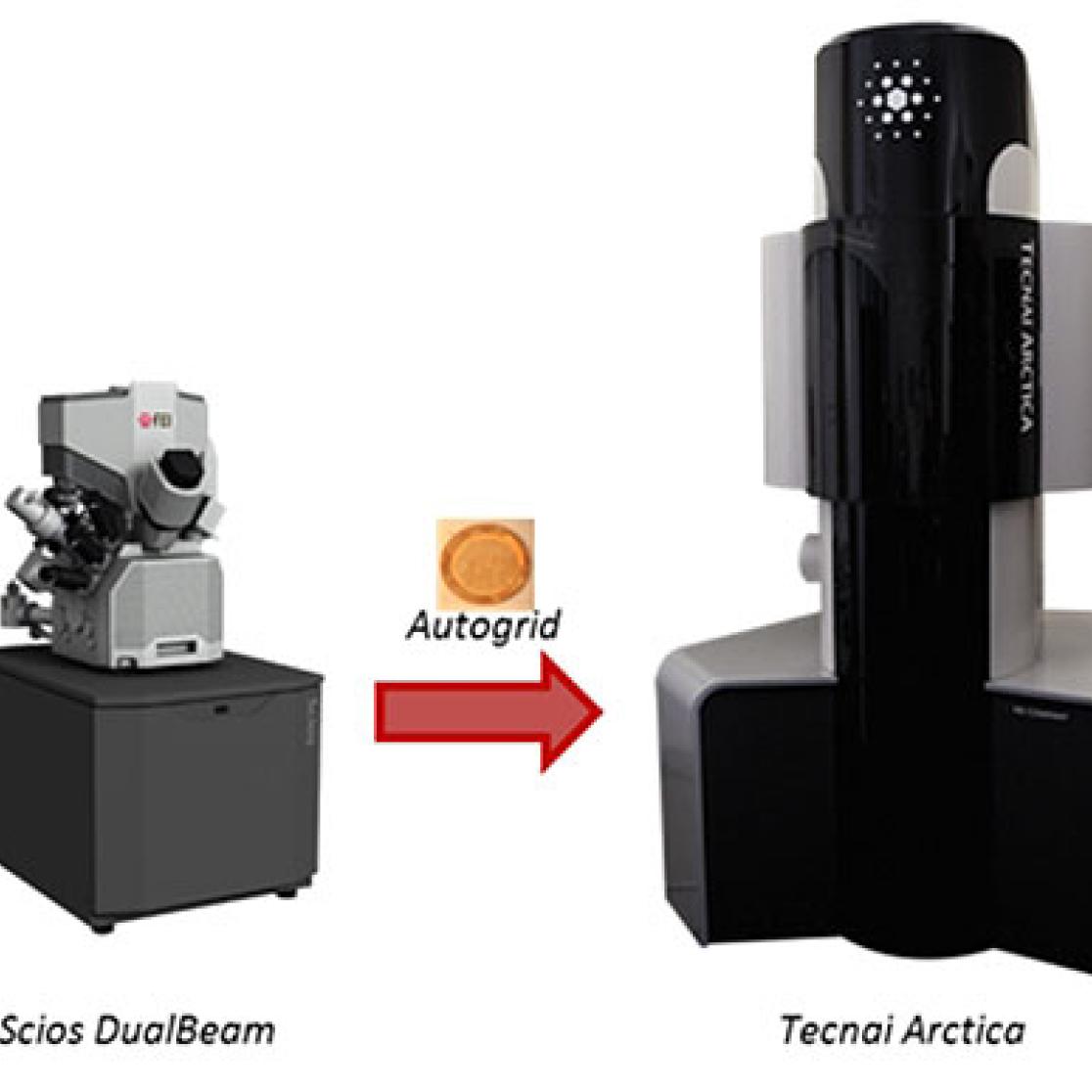 Our-full-cryo-correlative-workflow