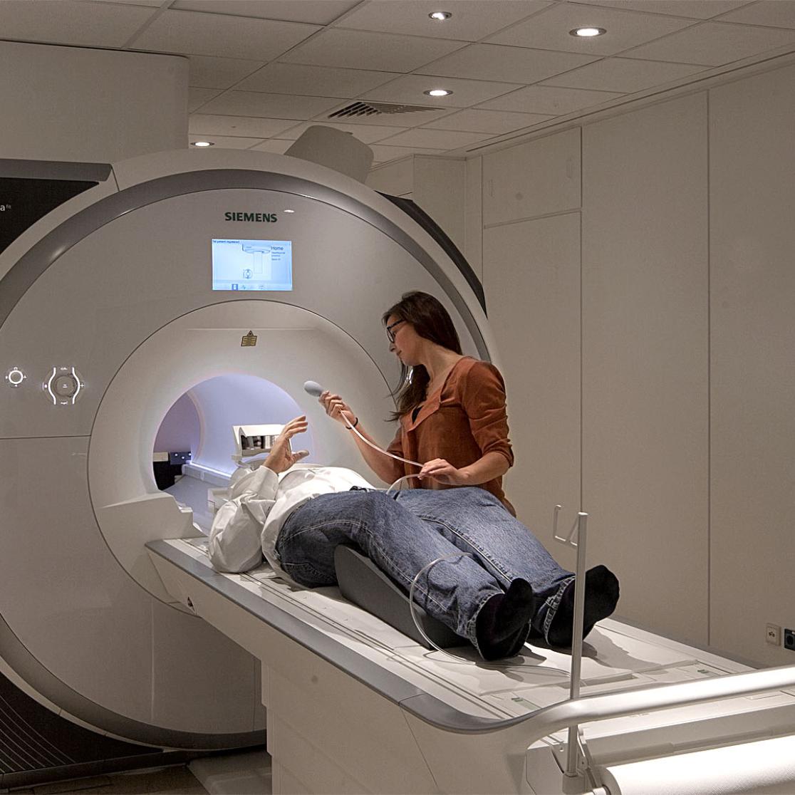 Cognitive Neuroscience – CN / Maastricht Brain Imaging Centre – M-BIC