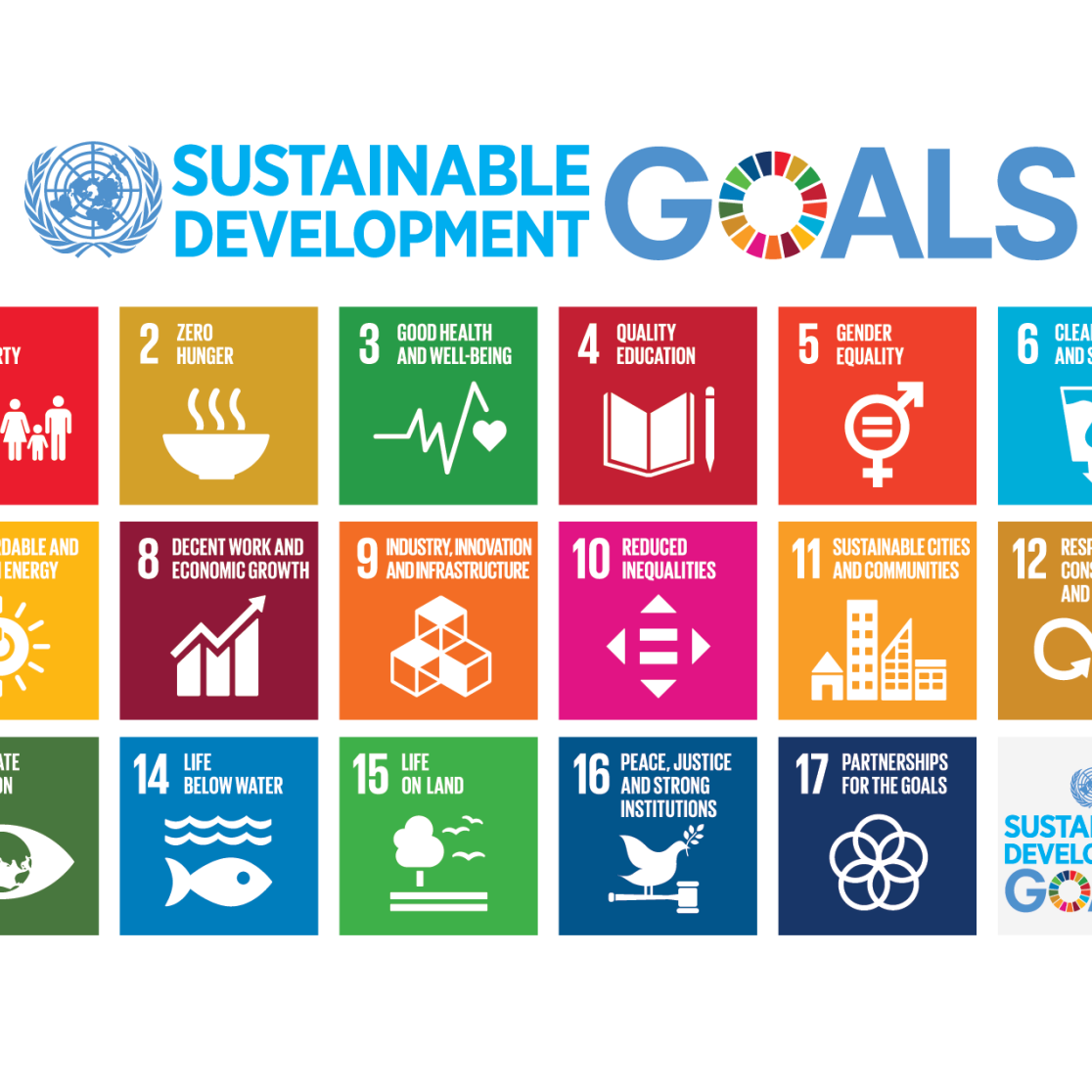 SDG's logo