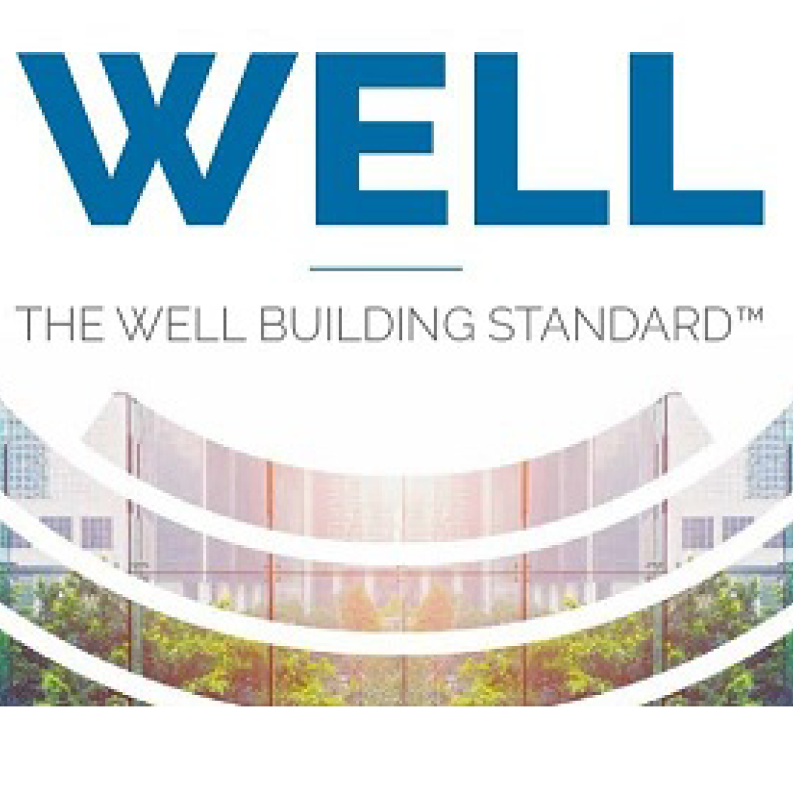 Well Building