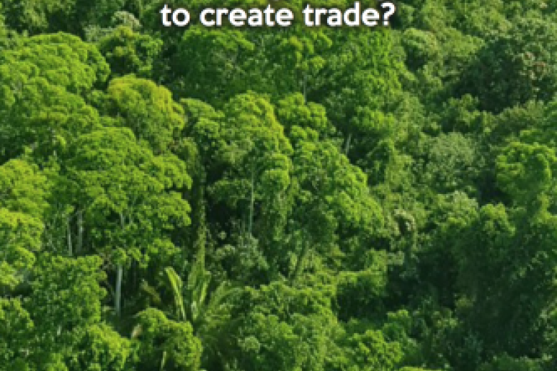 Avila Giani_the_carebbean_community_preferential_trade_agreement