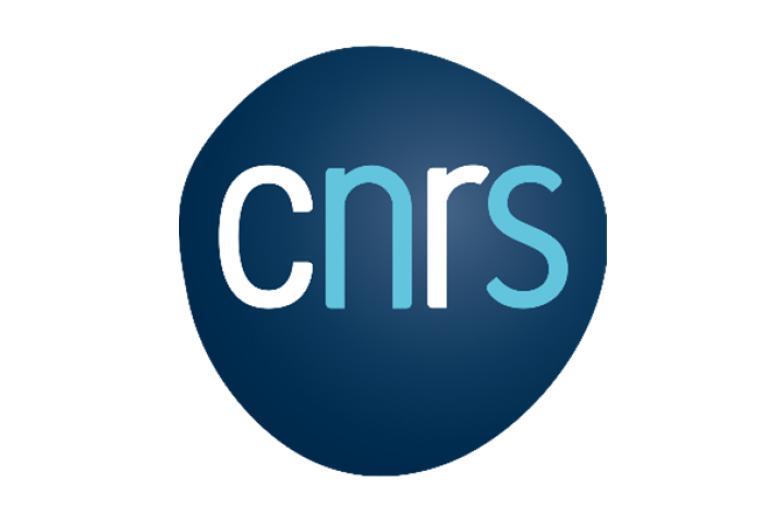 Logo Centre National De La Recherche Scientifique
