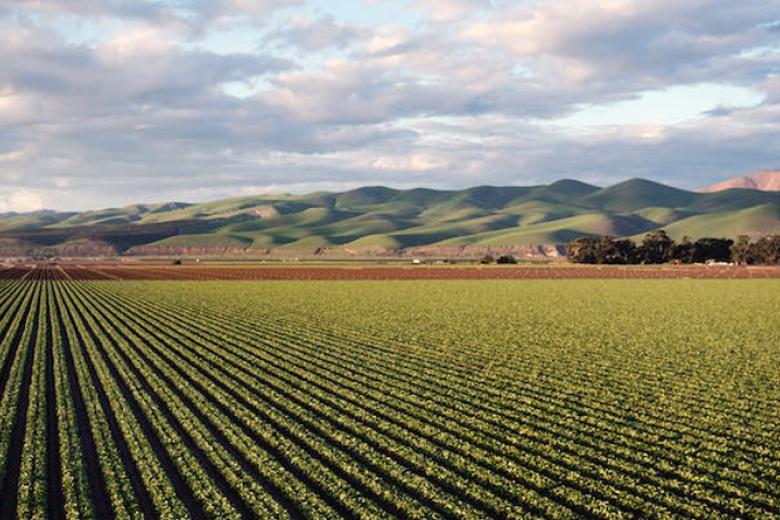 Circular Cultivation and Chemistry