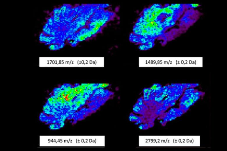 Ion-Mobility-Imaging