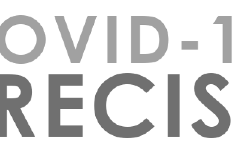 Precise Logo