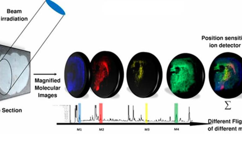 Mass-Microscopy