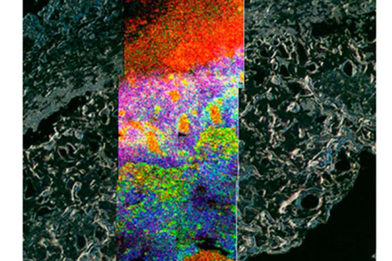 Molecules-at-the-interface-of-biology-and-polymers