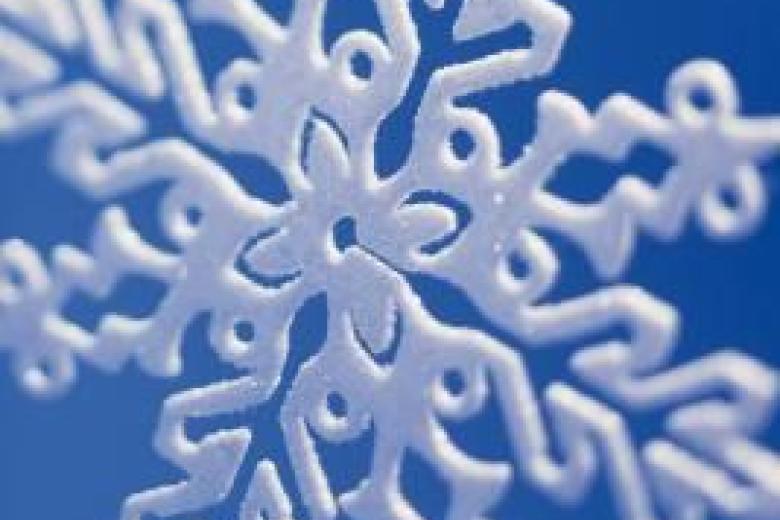 NUTRIM newsletter winter