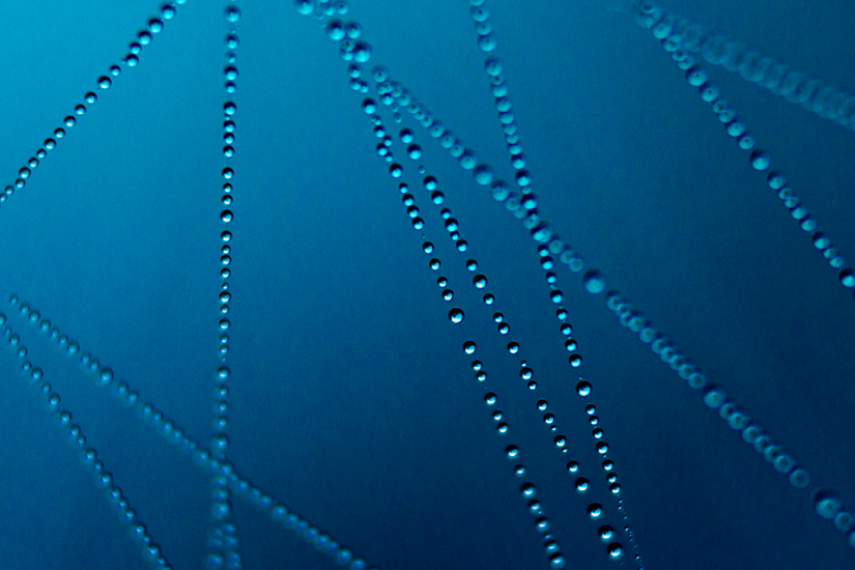 Wet network