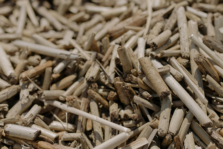 Biomass