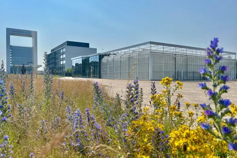 nick bos greenhouse